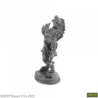 Blackmane, Gnoll Ravager 07059