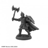 Sir Rudolf, Heroic Fighter 07148