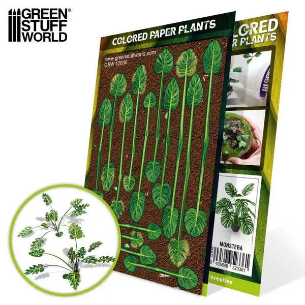 Papieren Planten - Colored Paper Plants - Monstera 12836