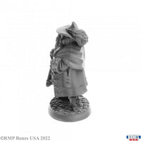 Reeve Irremborg Planomap  30071