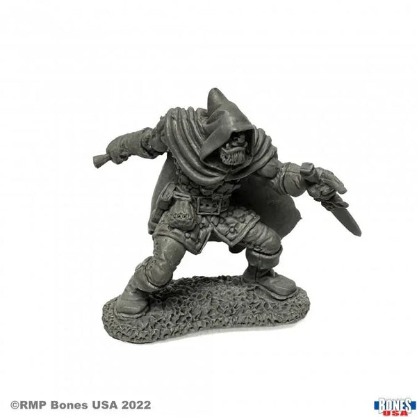 Rogan, Half-Orc Thief 30085