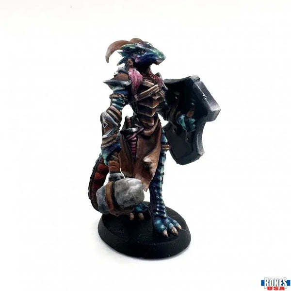 Tarmiczi, Female Dragonblood Paladin 30147
