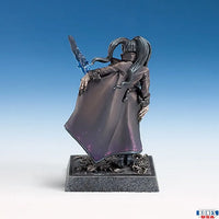Chaos Sorceress 30228