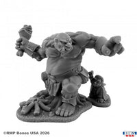 Reaper Miniatures The Pickpocket 30290