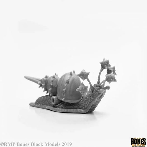 Thrasher Snail 44116