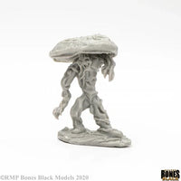 Fungal Guardian 44136
