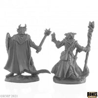 Dragonfolk Wizard and Cleric 44144