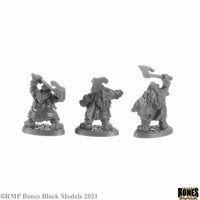 Crypt of the Dwarf King Boxed Set 44151
