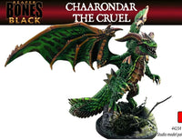 Chaarondar the Cruel 44234