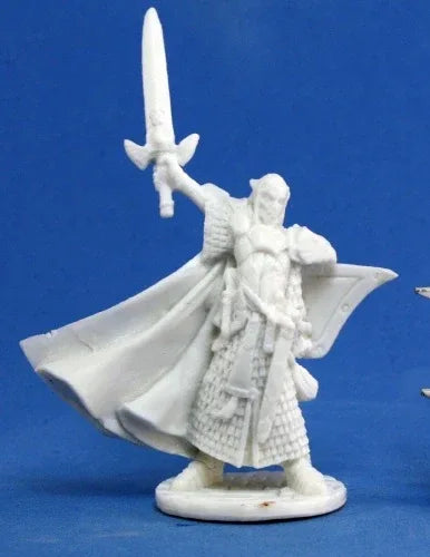 Turanil, Male Elf Paladin 77044
