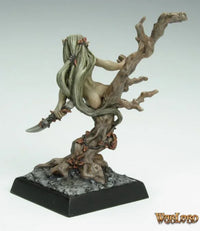 Drys Dryad 77265