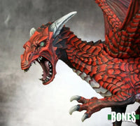 Dragons Don't Share 77381