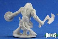 Gnoll Warrior 77388
