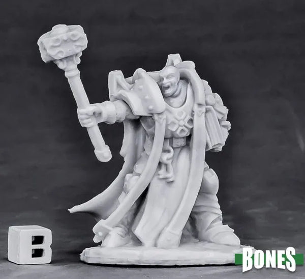 Crusader Ardent (Hammer) 77553