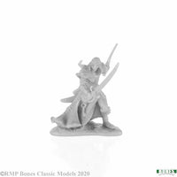 Aravir, Elf Ranger 77677