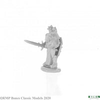 Blink Berenwicket, Gnome 77681