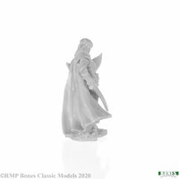 Alandin, Elf Paladin 77743