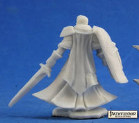 Holy Vindicator 89024
