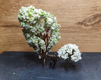 Bloesem Bomen 2 stuks set nr 6