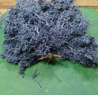 IJslands Mos Antraciet 20 gram