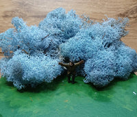 IJslands Mos Ice Blue 20 gram