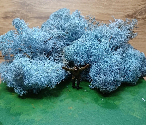 IJslands Mos Ice Blue 20 gram
