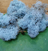 IJslands Mos Ice Blue 20 gram