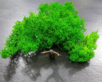 IJslands Mos Geel-Groen 20 gram