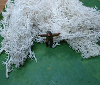 IJslands Mos Gebroken Wit 20 gram