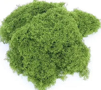Mos Klimop 50 gram