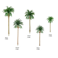 Palmbomen (Kokosnoot) 10 stuks