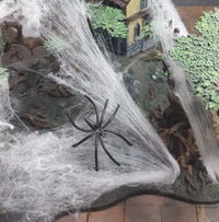 Spinnenweb / Spiderweb Wit